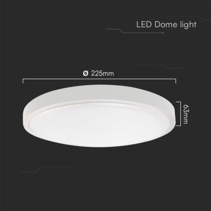LED loftlampe til badeværelse LED/18W/230V 4000K IP44 diameter 22,5 cm hvid