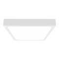 LED loftlampe til badeværelse LED/18W/230V 6500K IP44 22,5x22,5 cm hvid