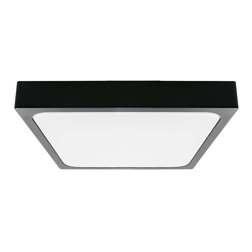 LED loftlampe til badeværelse LED/18W/230V 6500K IP44 22,5x22,5 cm sort