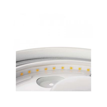 LED loftlampe til badeværelse LED/18W/230V IP44