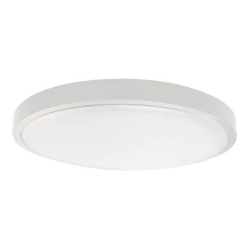 LED loftlampe til badeværelse LED/24W/230V 3000K IP44 hvid