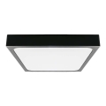LED loftlampe til badeværelse LED/24W/230V 6500K IP44 29,5x29,5 cm sort