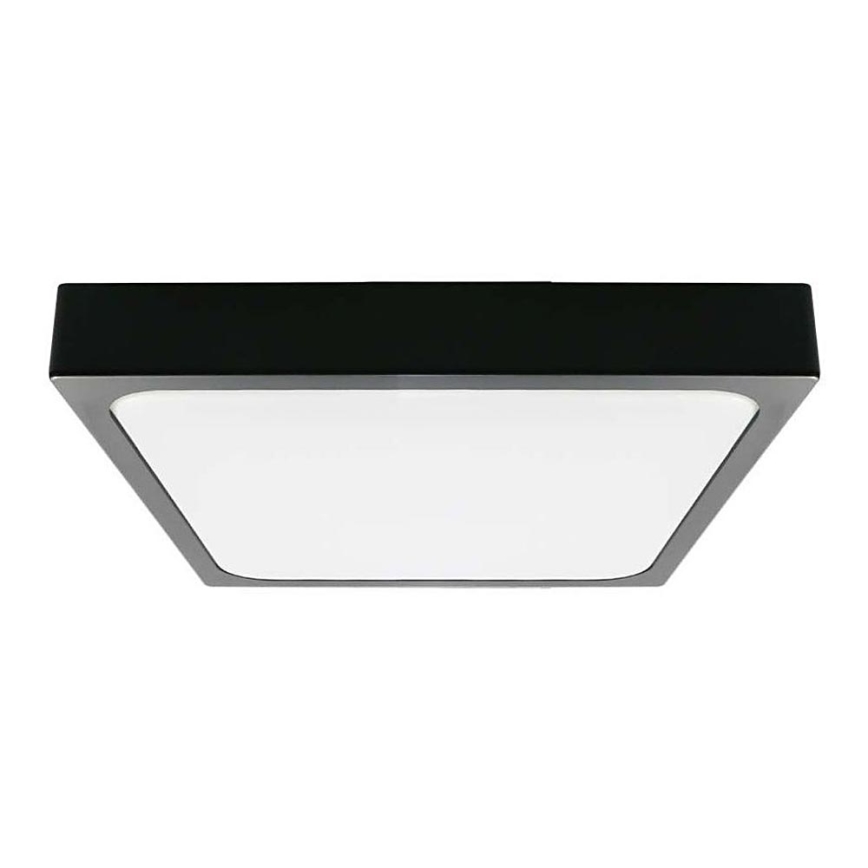LED loftlampe til badeværelse LED/24W/230V 6500K IP44 29,5x29,5 cm sort