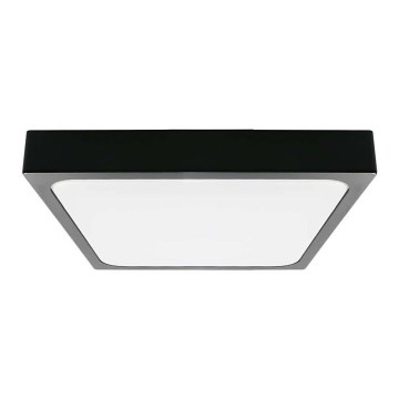 LED loftlampe til badeværelse LED/24W/230V 6500K IP44 sort