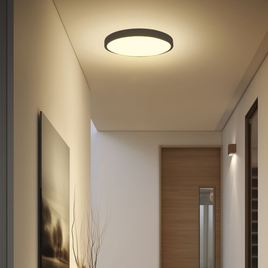 LED loftlampe til badeværelse SAMSUNG CHIP LED/24W/230V IP44 6500K diameter 29 cm sort