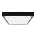 LED loftlampe til badeværelse LED/30W/230V 3000K IP44 42x42 cm sort