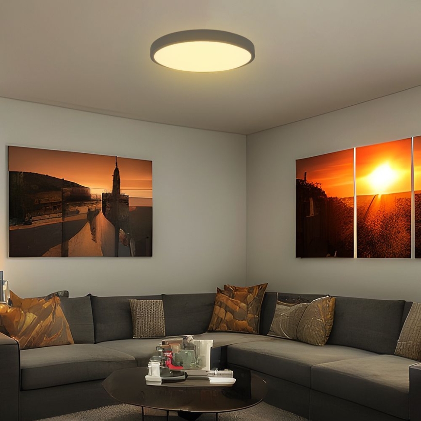 LED loftlampe til badeværelse SAMSUNG CHIP LED/36W/230V IP44 4000K diameter 35 cm sort