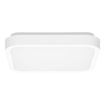 LED loftlampe til badeværelse LUKY LED/12W/230V 4000K 25x25 cm IP44 hvid