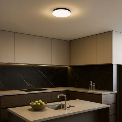 LED loftlampe til badeværelse MAYA LED/15W/230V IP44 sort