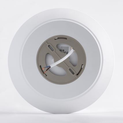 LED loftlampe til badeværelse med sensor AVESTA LED/12W/230V 4000K IP54