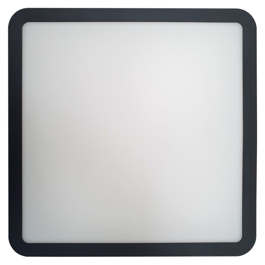 LED loftlampe til badeværelse med sensor ELLÉ LED/24W/230V 3000/4000/6500K 26x26 cm IP54 antracit