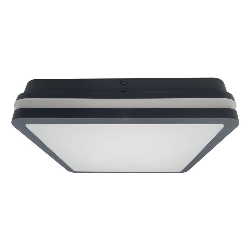 LED loftlampe til badeværelse med sensor ELLÉ LED/24W/230V 3000/4000/6500K 26x26 cm IP54 antracit