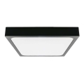LED loftlampe til badeværelse med sensor LED/18W/230V 4000K IP44 22,5x22,5 cm sort
