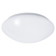LED loftlampe til badeværelse med sensor REVA LED/12W/230V IP44
