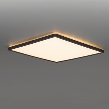LED loftlampe til badeværelse NIVERA LED/12W/230V IP54 3000/4000/6000K 22,5x22,5 cm sort