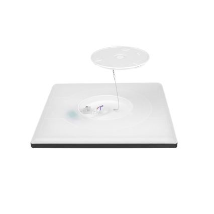 LED loftlampe til badeværelse NIVERA LED/24W/230V IP54 3000/4000/6000K 30x30 cm sort