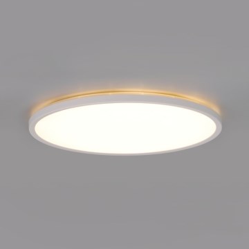 LED loftlampe til badeværelse NIVERA LED/32W/230V IP54 3000/4000/6000K diameter 42 cm hvid