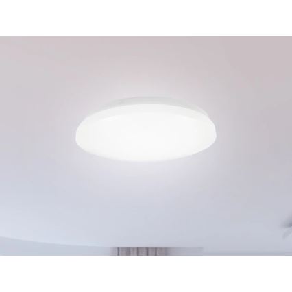 LED loftlampe til badeværelse OPAL LED/12W/230V Ø 24,5 cm IP44 hvid