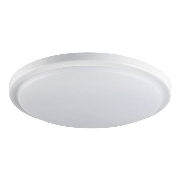 LED loftlampe til badeværelse ORTE LED/24W/230V IP54