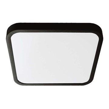 LED loftlampe til badeværelse SAMSUNG CHIP LED/18W/230V IP44 6500K 25x25 cm sort