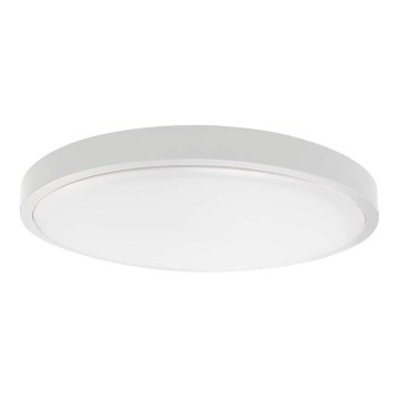 LED loftlampe til badeværelse SAMSUNG CHIP LED/18W/230V IP44 6500K diameter 25 cm hvid