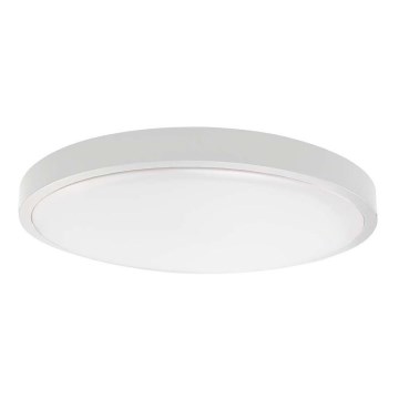 LED loftlampe til badeværelse SAMSUNG CHIP LED/24W/230V IP44 4000K diameter 29 cm hvid