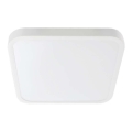 LED loftlampe til badeværelse SAMSUNG CHIP LED/24W/230V IP44 6500K 29x29 cm hvid
