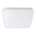 LED loftlampe til badeværelse SAMSUNG CHIP LED/48W/230V IP44 3000K 42x42 cm hvid