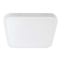 LED loftlampe til badeværelse SAMSUNG CHIP LED/48W/230V IP44 6500K 42x42 cm hvid