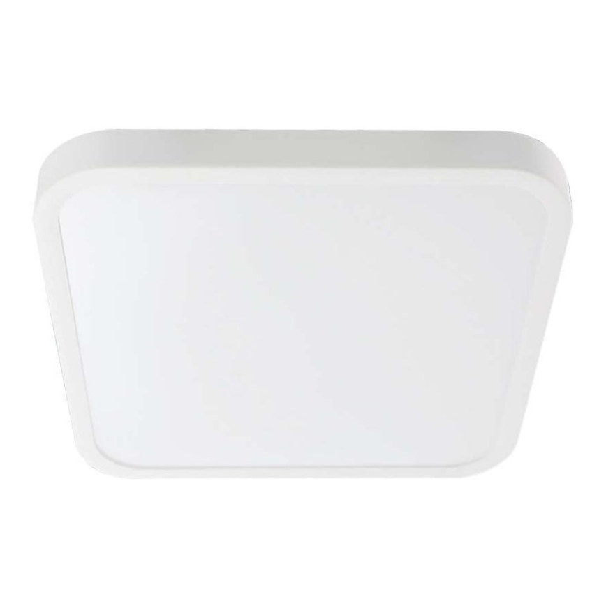 LED loftlampe til badeværelse SAMSUNG CHIP LED/48W/230V IP44 6500K 42x42 cm hvid
