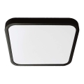 LED loftlampe til badeværelse SAMSUNG CHIP LED/48W/230V IP44 6500K 42x42 cm sort