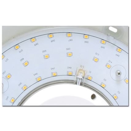 LED loftlampe til badeværelse VICTOR LED/25W/230V IP44