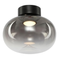 LED loftlampe VASO LED/4W/230V diameter 18 cm sort/røget