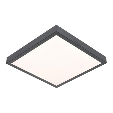 LED loftlampe VITALI LED/24W/230V