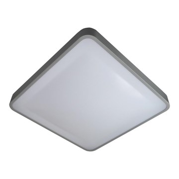 LED loftlampe WILTON LED/24W/230V 37,5x37,5 cm grå