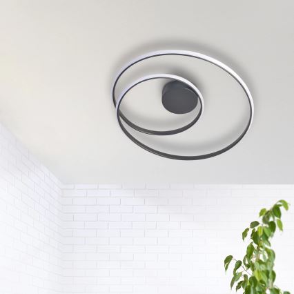 LED loftlampe ZEFIRA LED/40W/230V 4000K diameter 50 cm antracit
