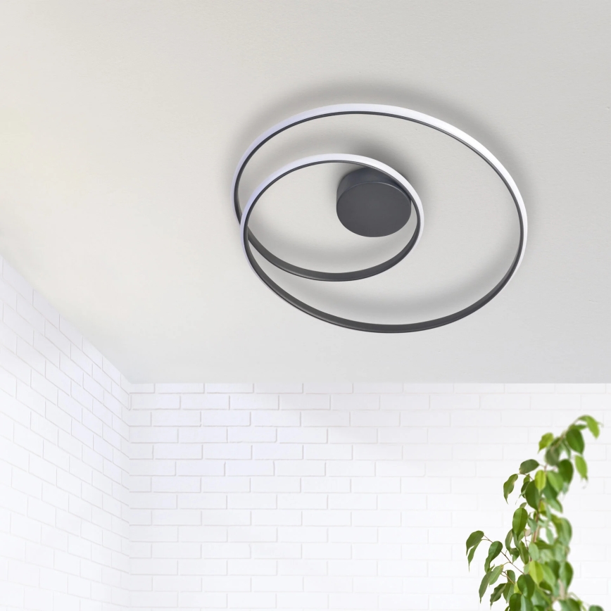 LED loftlampe ZEFIRA LED/40W/230V 4000K diameter 50 cm antracit