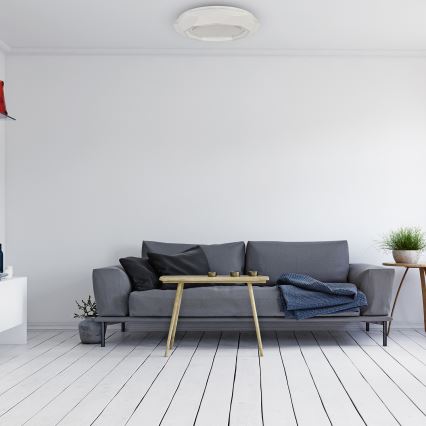 LED loftsbelysning LULU LED/40W/230V