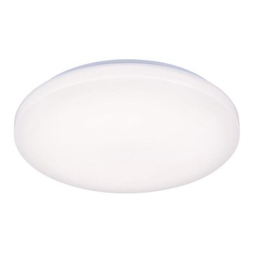 LED loftsbelysning OPAL LED/50W/176-264V