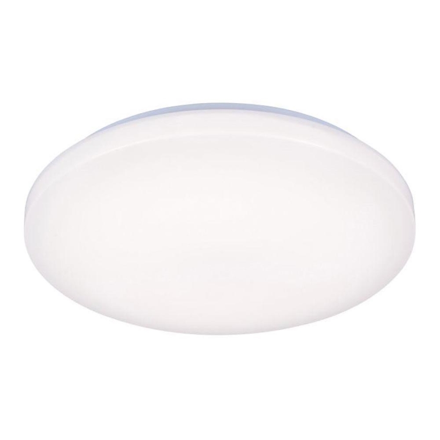 LED loftsbelysning OPAL LED/50W/176-264V