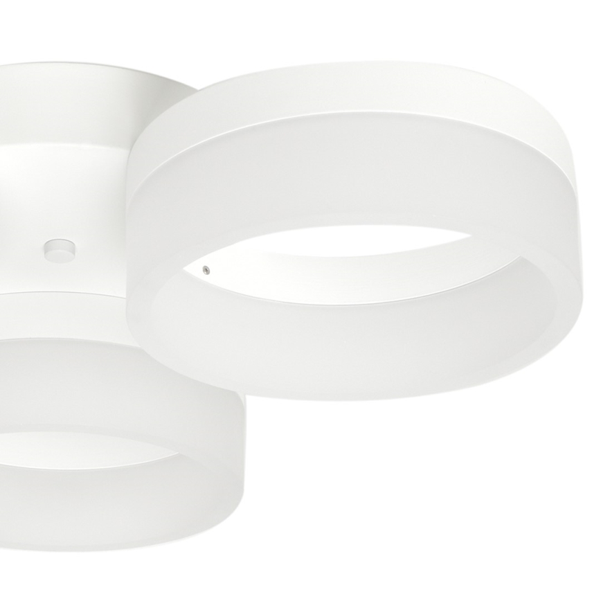 LED loftsbelysning RING 3xLED/12W/230V hvid