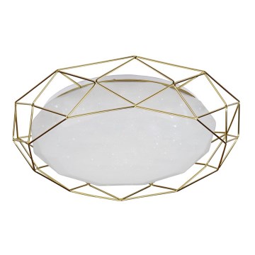 LED loftsbelysning SVEN LED/24W/230V