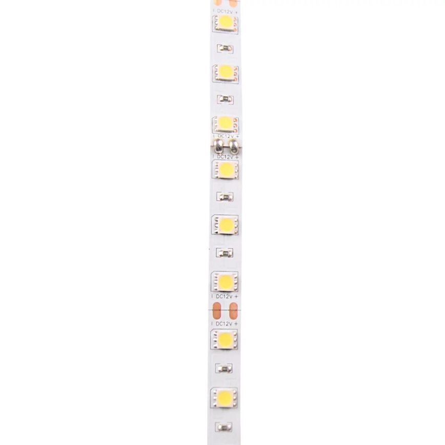 LED lysbånd 5 m LED/10W/12V IP20 hvid