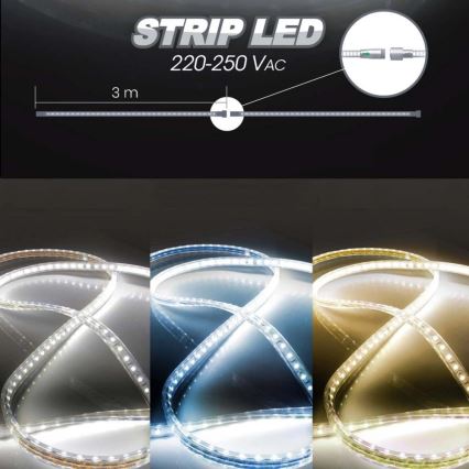 LED lysbånd EASY CONNECT LED/14,4W/230V 3m IP67 blå
