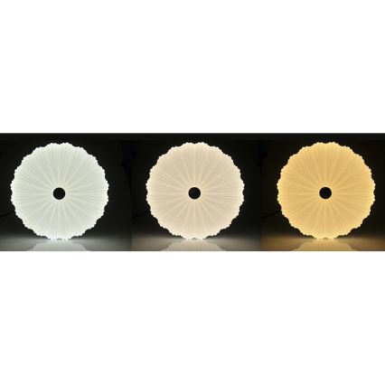 LED lysdæmper loftslampe FLOWER LED/36W/230V + Fjernbetjening