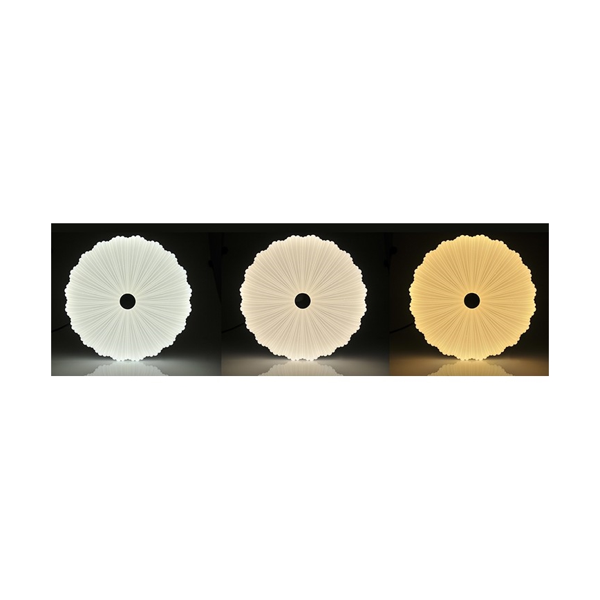 LED lysdæmper loftslampe FLOWER LED/36W/230V + Fjernbetjening