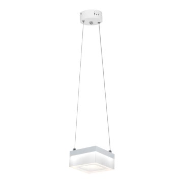 LED lysekrone i en snor CUBO LED/12W/230V firkantet