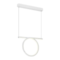 LED lysekrone i en snor LOOP LED/20W/230V hvid