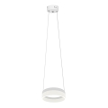 LED lysekrone i en snor RING LED/12W/230V