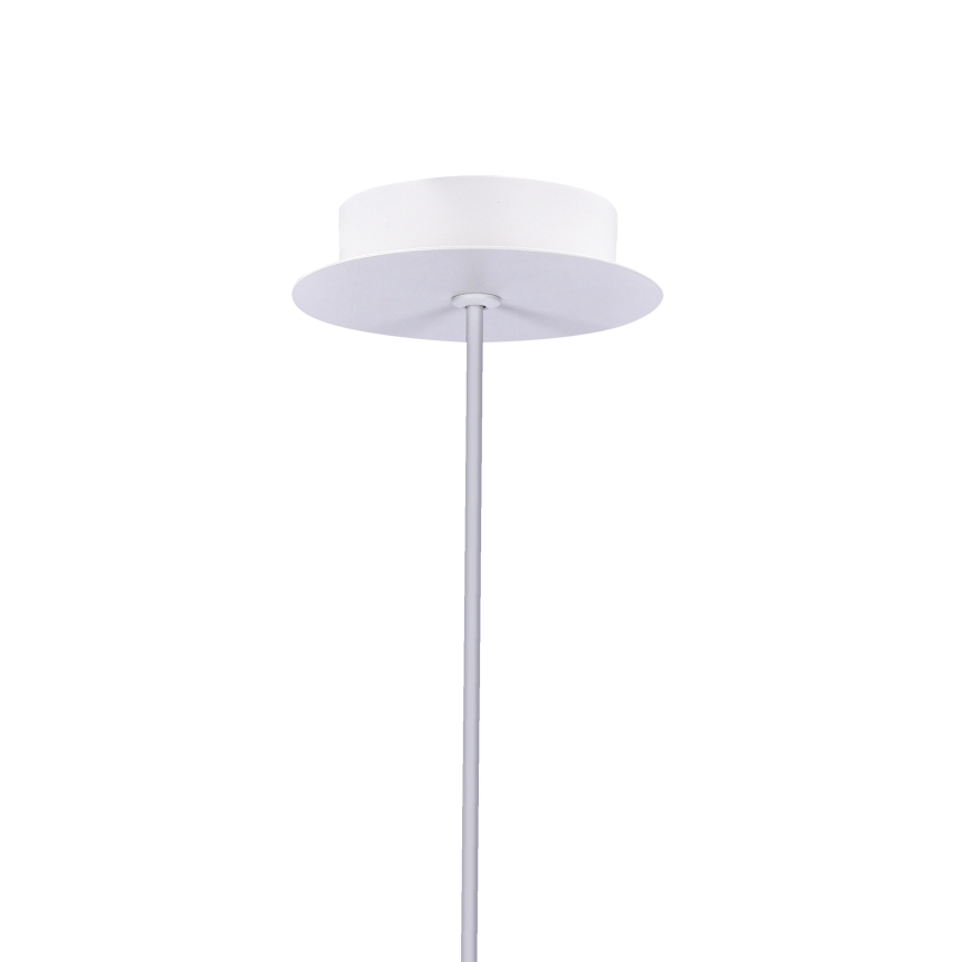 LED lysekrone på en snor MODENA LED/5W/230V